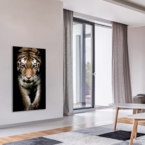 Tigre ambiance 60x120 cm